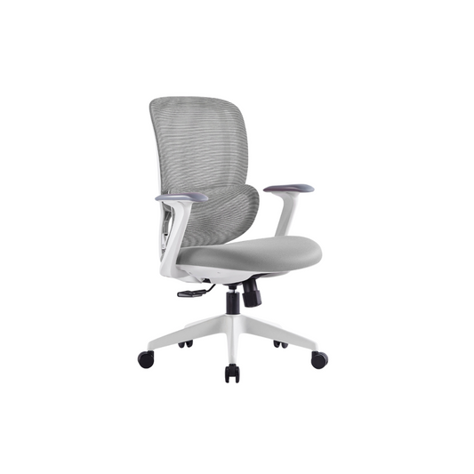 Chaise de bureau ergonomique professionnelle