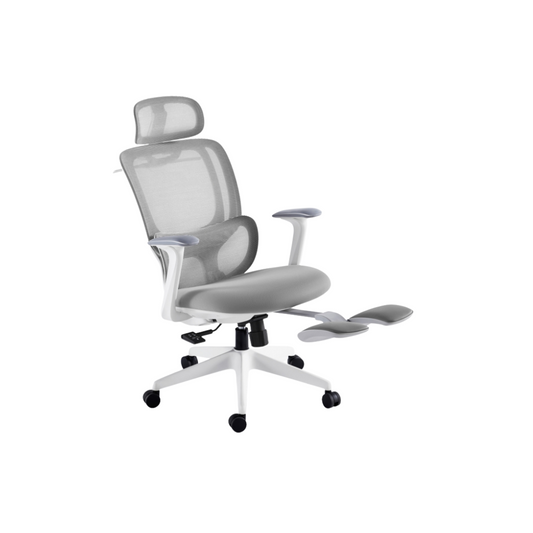 Chaise de bureau ergonomique professionnelle avec repose-pieds