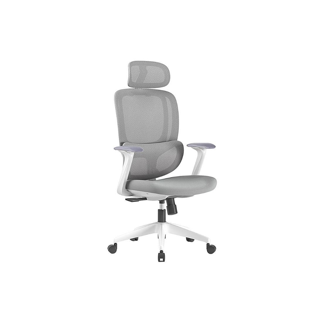 Chaise de bureau ergonomique Pro Classic