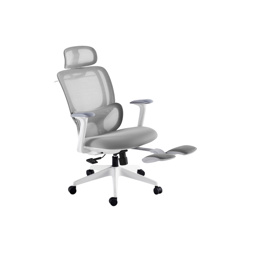 Chaise de bureau ergonomique professionnelle avec repose-pieds